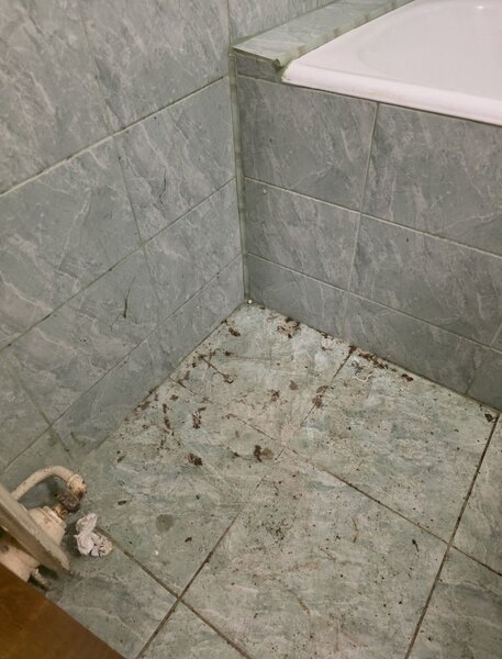Servicii de curatenie la domiciliu Bucuresti.